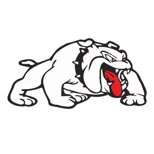 Custom print car sticker car body stickers custom PVC car decorative label sticker