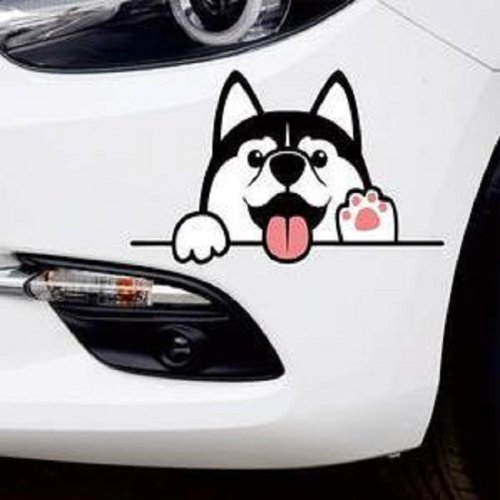 Outdoor UV proof decorative die cut logo custom car vinyl PVC transfer decal car window vinyl sticker